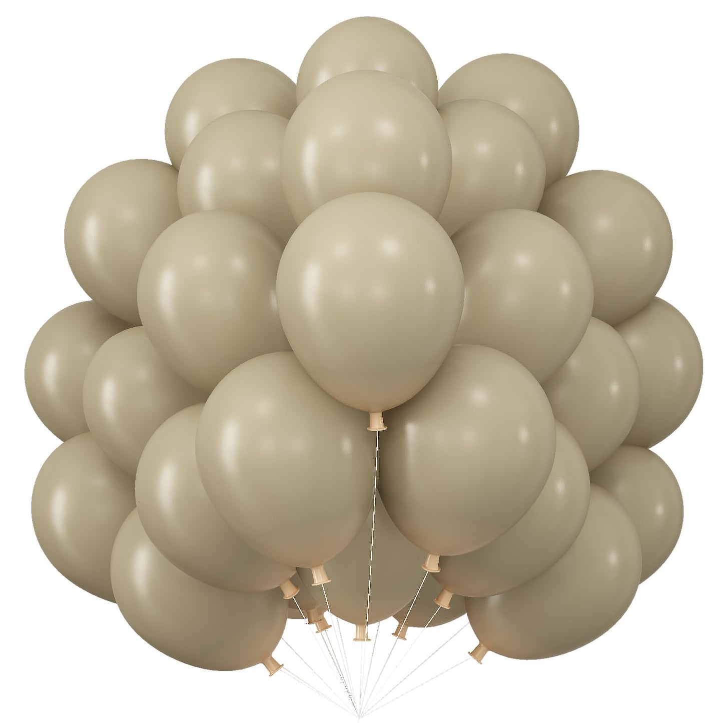 Dozen Balloon